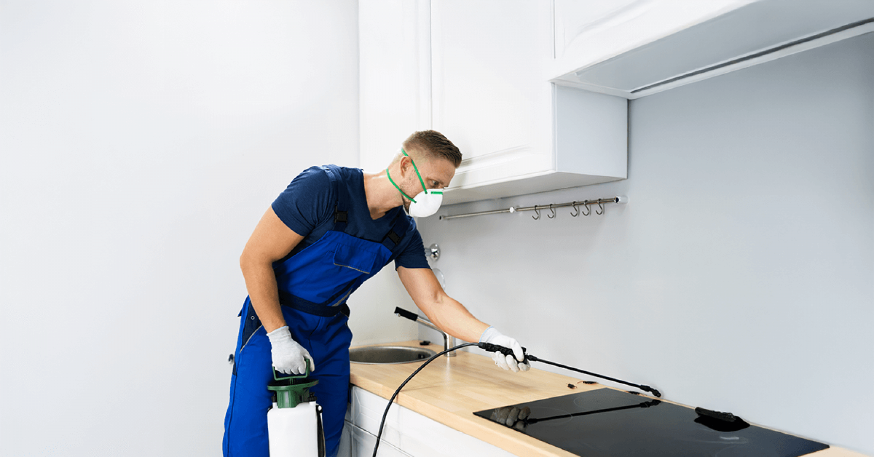 Density Pest Control - DPC