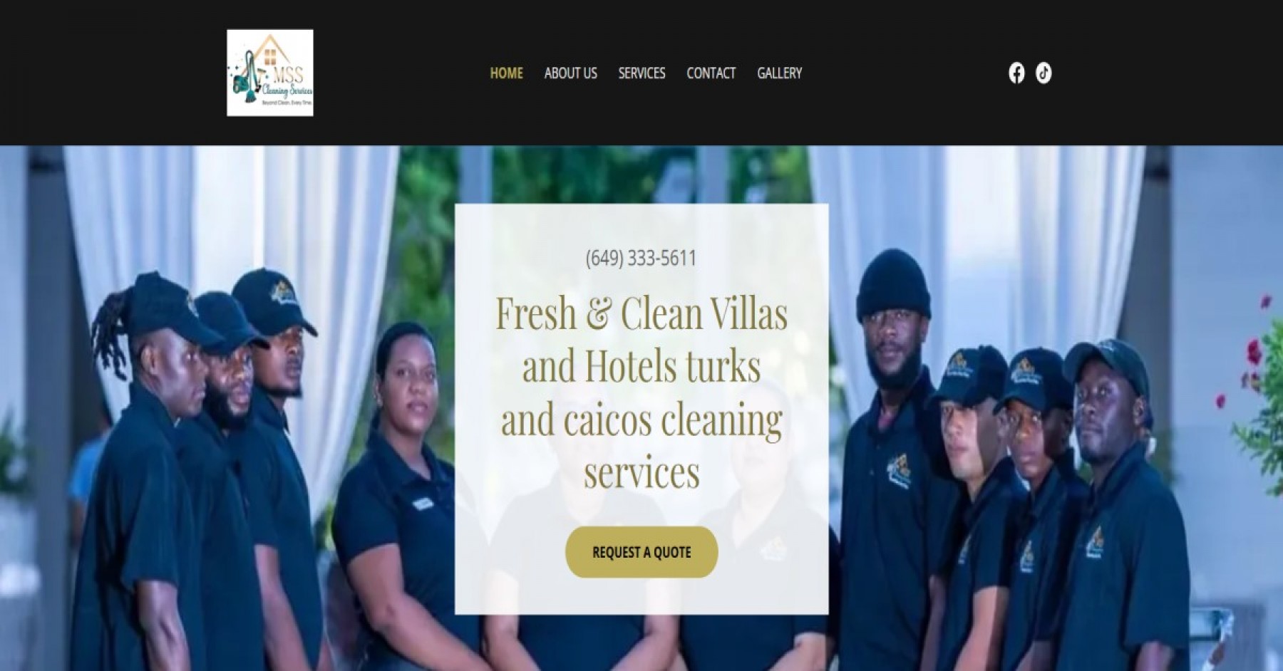 MSS Cleaning Services