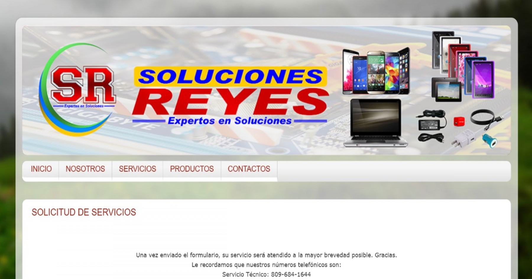 Soluciones Reyes